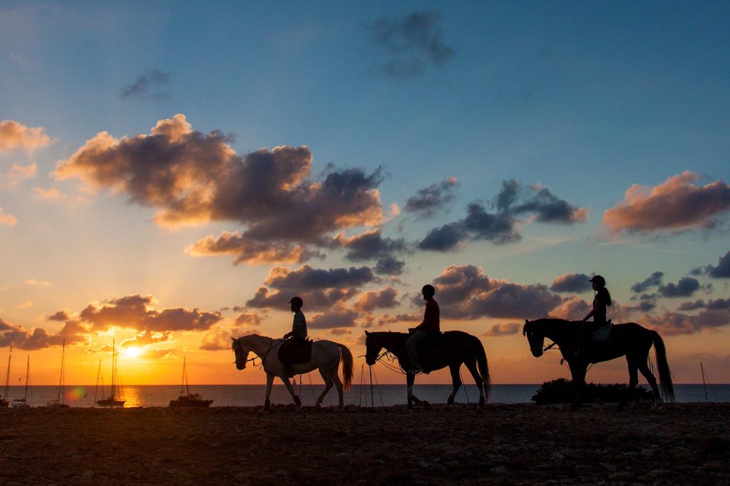 A caballo