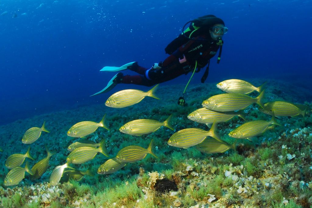 Submarinismo